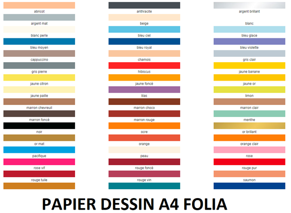 Pqt de 100 feuilles papier dessin A4 130 g/m2 Folia